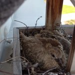 phoca_thumb_m_006 4 Fotogalerie